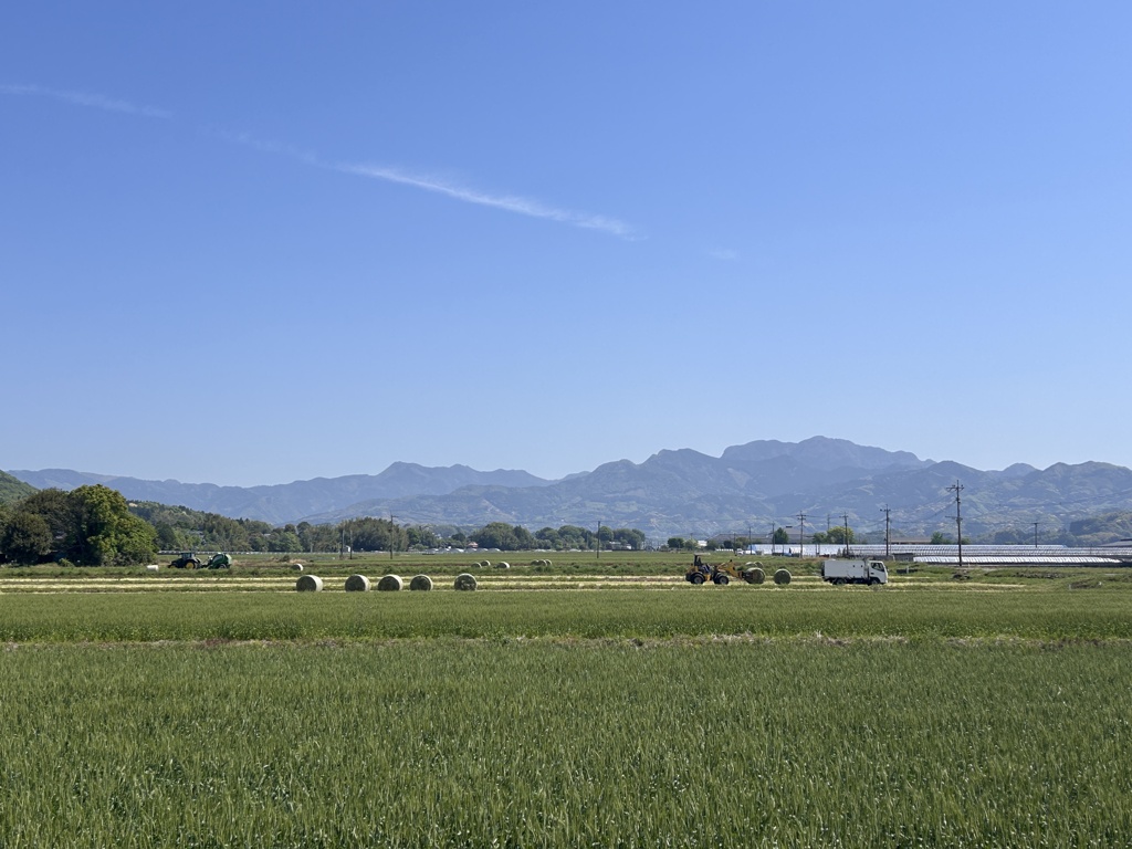 田舎の風景