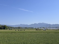田舎の風景