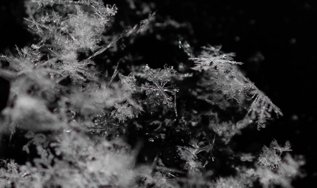 雪の結晶