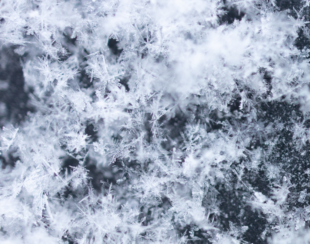 雪の結晶
