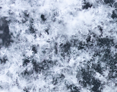 雪の結晶