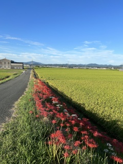 朝のサイクリング