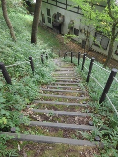 川崎城跡公園の急な下り階段（7月20日）