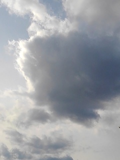 大きい雲（2月1日）