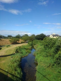 陸橋から見えた小川（8月11日）