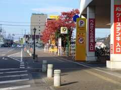 街灯と看板の街路樹（11月7日）