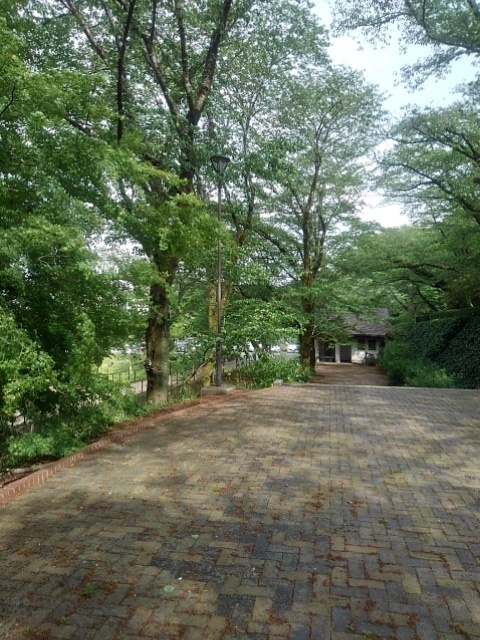 ゆうゆうパークの丘の石畳の道（4月29日）