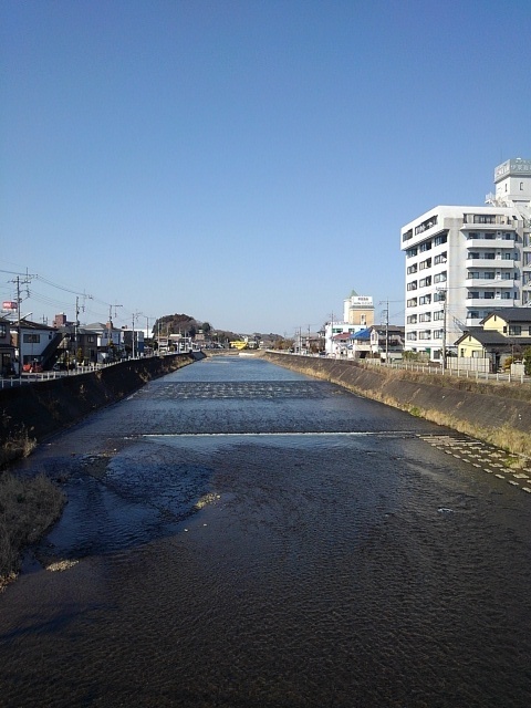 橋の上からの川（3月15日）