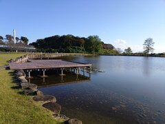 桟橋と陸橋（10月27日）