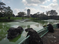 柵の奥に池と展望塔（9月18日）