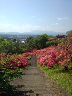 長峰公園の丘の上から見えた高原山（5月1日）