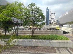 街の緑（7月4日）