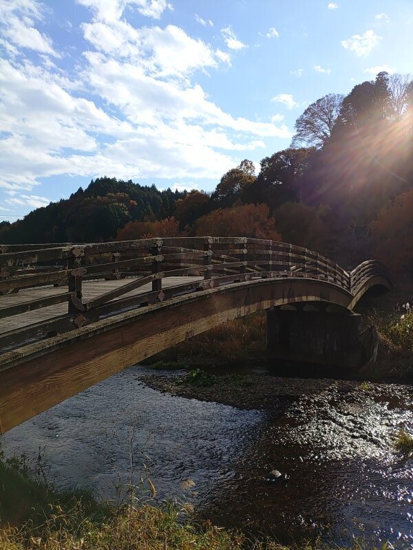 間近に見えるともなり橋（11月21日）