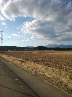 水田沿いの道と電柱と山（1月30日）