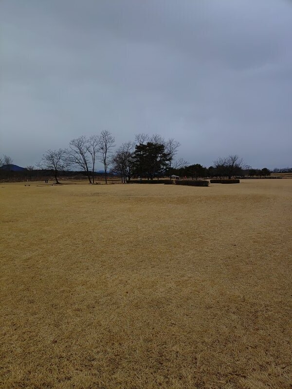 芝生の広場（1月2日）