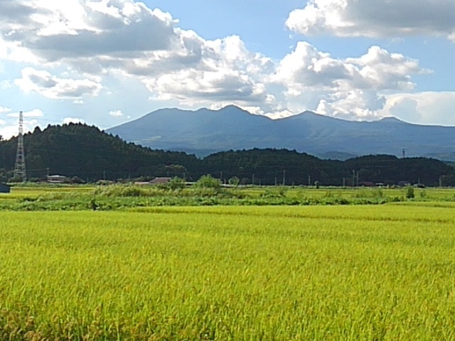 高原山（8月26日）