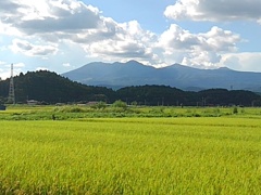 高原山（8月26日）