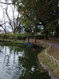 水門のハンドルと落ち葉の歩道（10月22日）