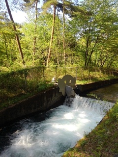那須疏水の堰（4月30日）