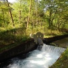 那須疏水の堰（4月30日）