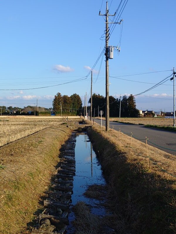 空色に染まる用水路（12月17日）