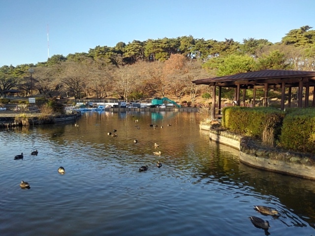池と休憩所（12月9日）