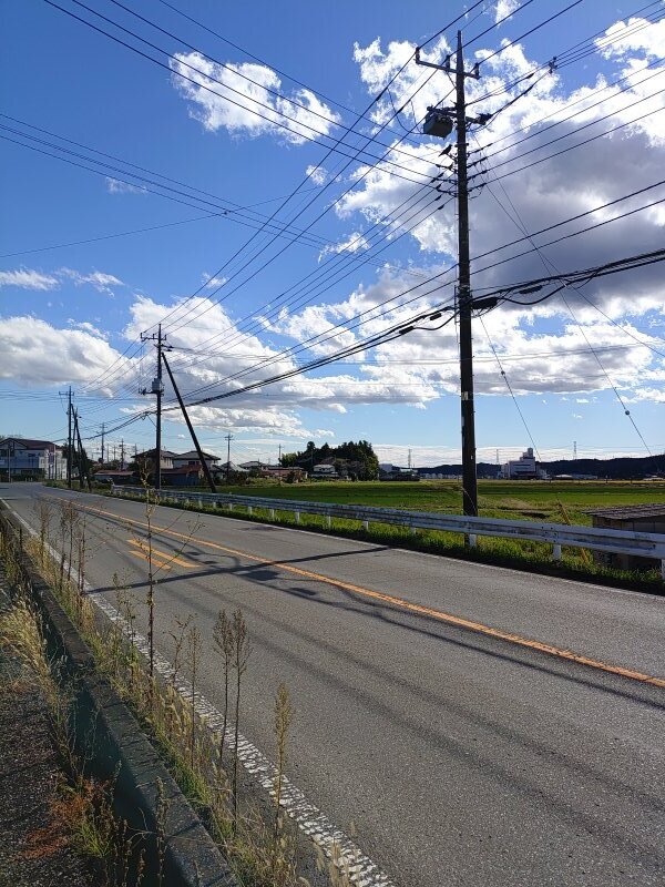 電柱（10月28日）