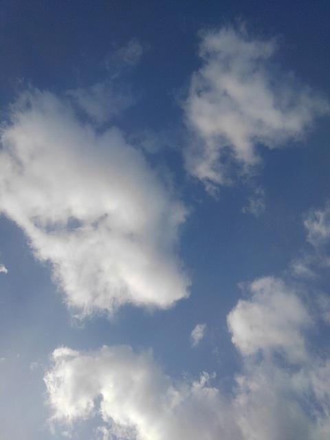 ちぎれた雲（2月1日）