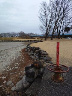 ハンドルの奥の池（1月2日）