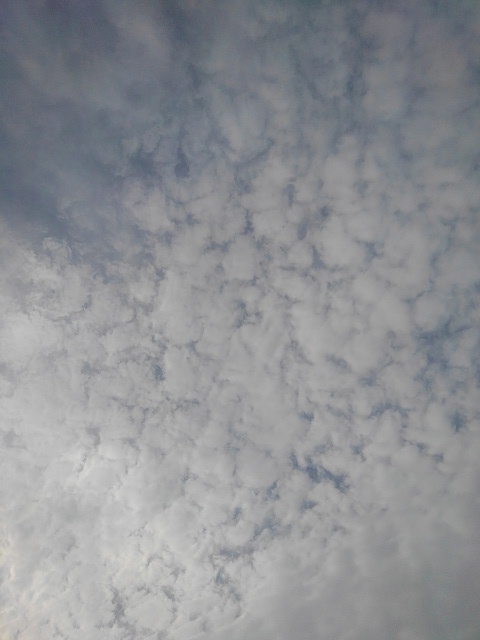 鱗雲（5月18日）
