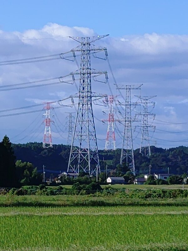 水田の鉄塔（9月30日）