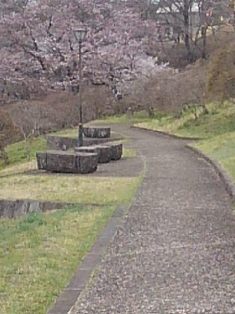 長峰公園の丘の歩道沿いのベンチと街灯（4月5日）