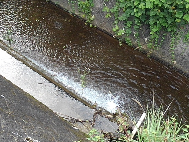 用水路の堰の水流（7月20日）