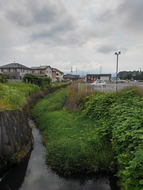 街中の小川（6月25日）