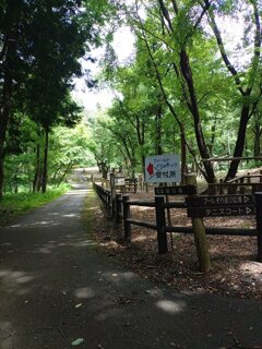 立札もある那須野が原公園の丘の道（8月8日）