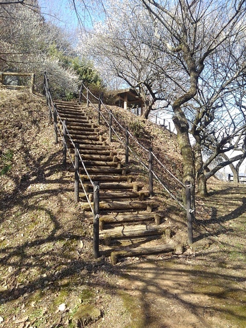 丘の休憩所前の階段（3月3日）