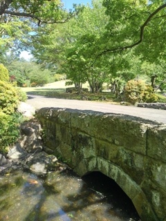 橋と小川（4月30日）