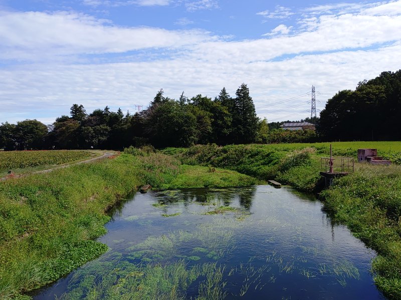 橋の上から見えた川（10月6日）