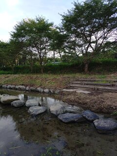 小川（8月19日）