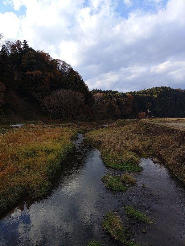 ともなり橋の上から見えた綺麗な川（11月21日）