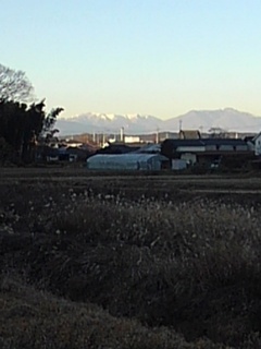 川崎城跡から見えた遠くの山（1月5日）