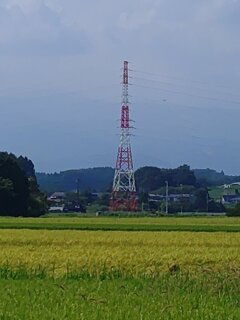 水田地帯の鉄塔（9月1日）