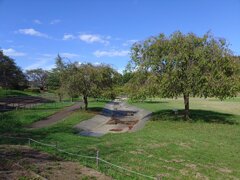 長峰公園の小川の広場（9月19日）