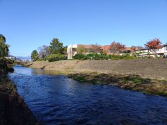 岸辺から見えた川（11月4日）
