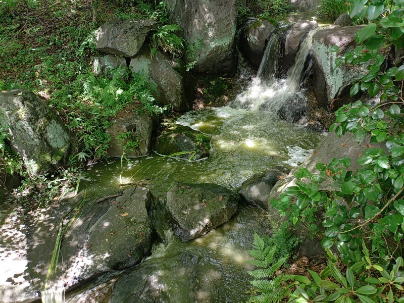 大きい公園の滝（8月8日）