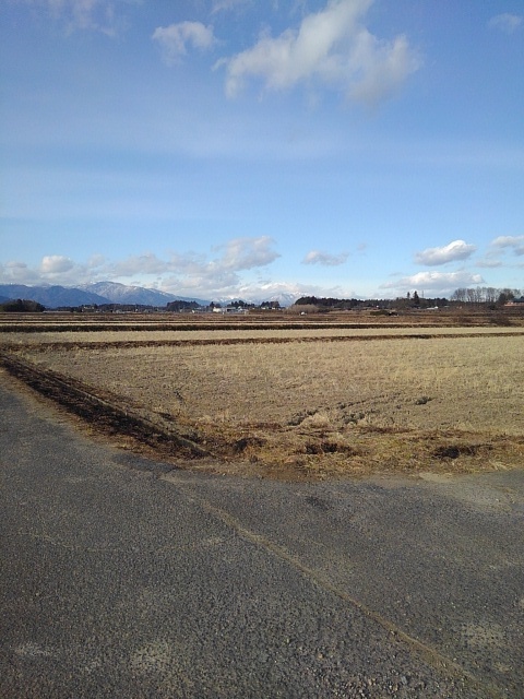 那須連山が見える水田沿いの道（2月1日）