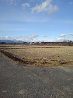 那須連山が見える水田沿いの道（2月1日）