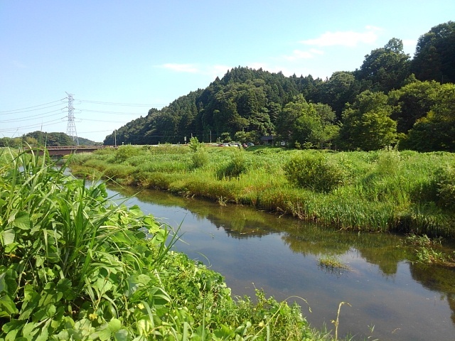 川崎城跡を流れる川（7月16日）