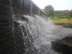 涼しい公園の滝の飛沫（8月5日）