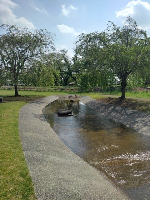 長峰公園の水辺の広場（5月1日）